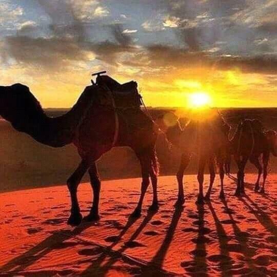 Bivouac Erg Znaigui Hotel Merzouga Bagian luar foto